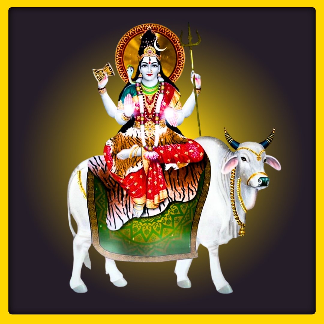 SDRSER79841 - 1763197677.jpg